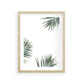 Plakat w ramie 30x40 - Liście Palmy na Czystym Tle - liście palmy, białe tło - rama drewno