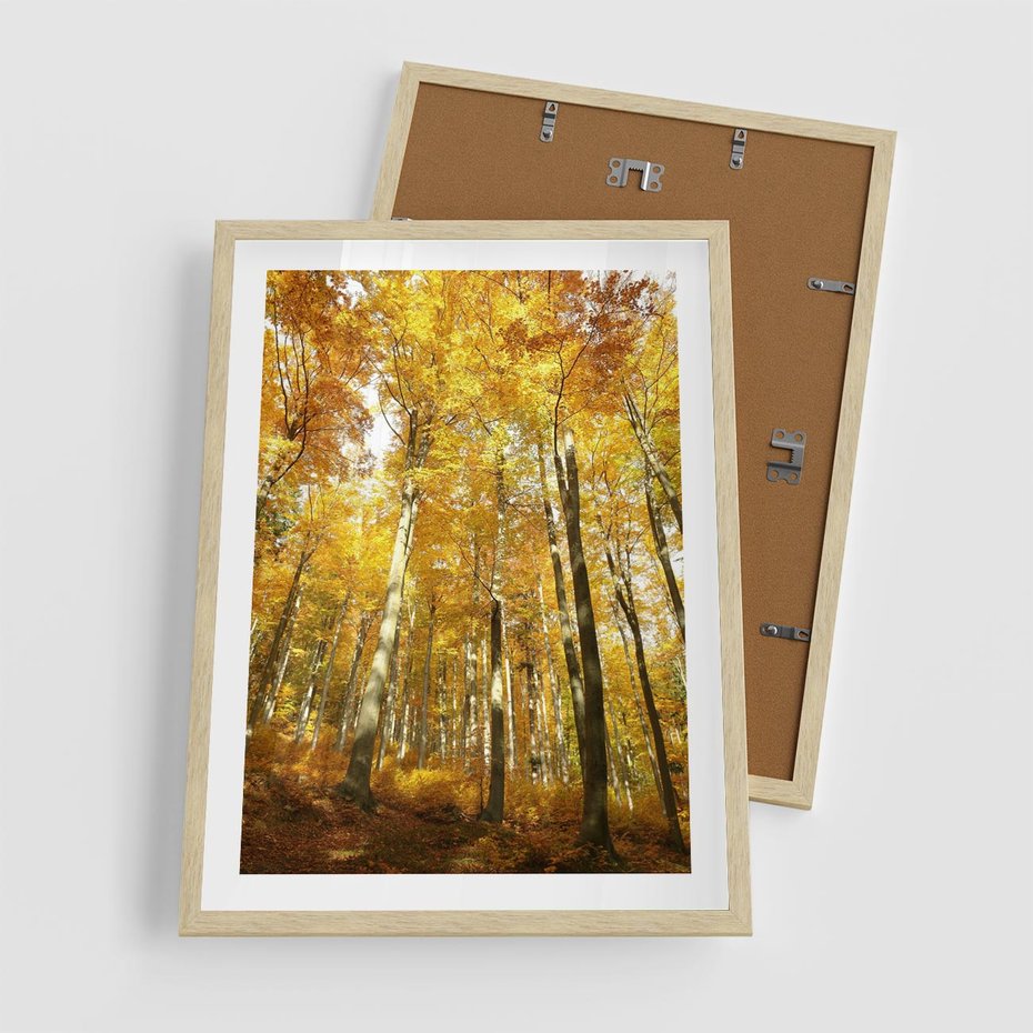 Plakat w ramie 50x70 - Jesienny Las - Kolorowa Paleta Natury - jesień, drzewa - rama drewno