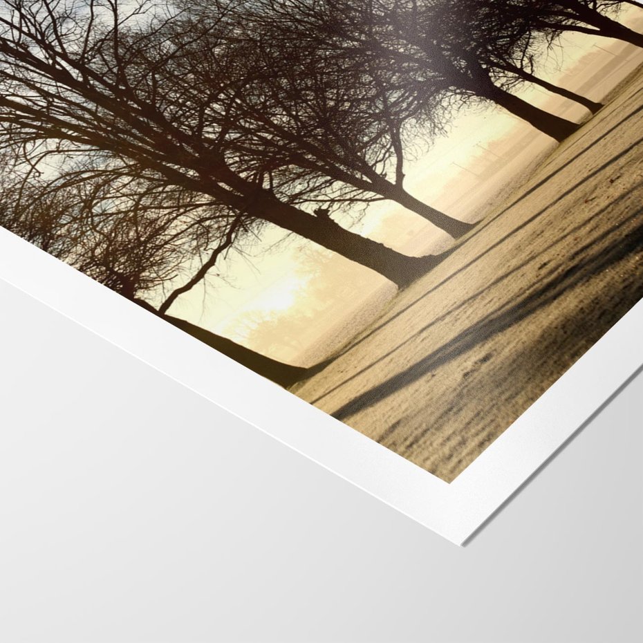 Plakat bez ramy 50x70 - Siła natury - drzewa, pole