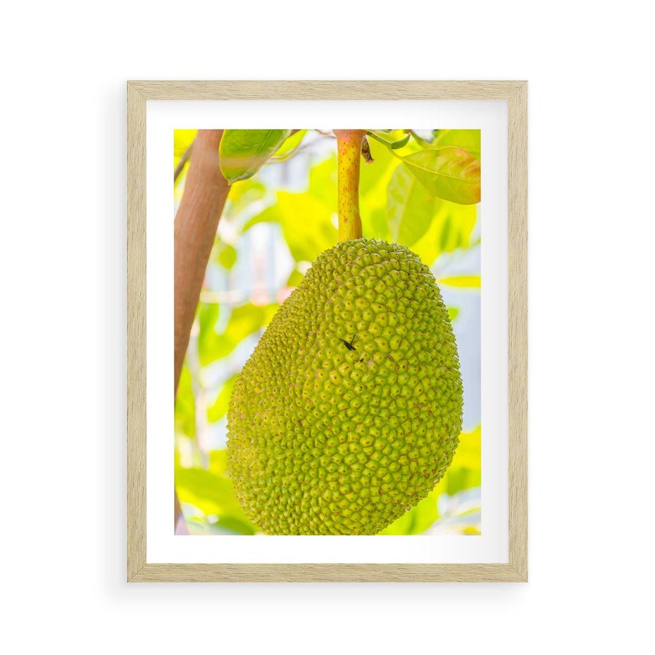 Plakat w ramie 40x50 - Tropikalny raj nad morzem - tropikalny, owoc - rama drewno