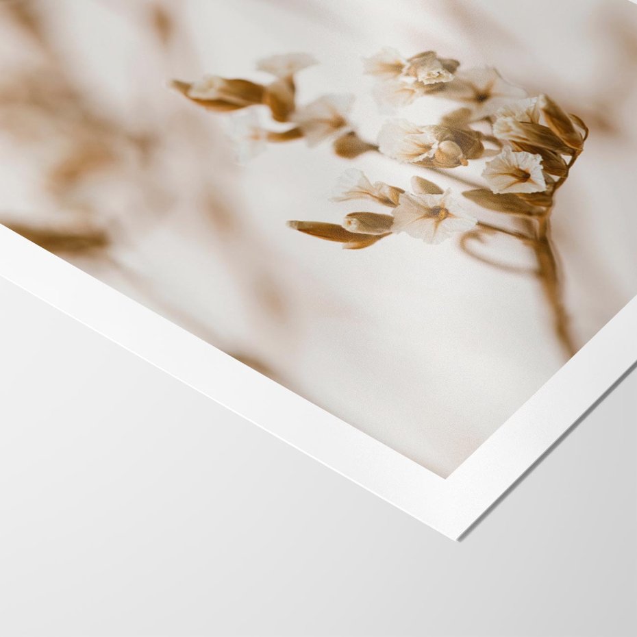 Plakat bez ramy 50x70 - Kwiatowa suchość - kwiaty, susz