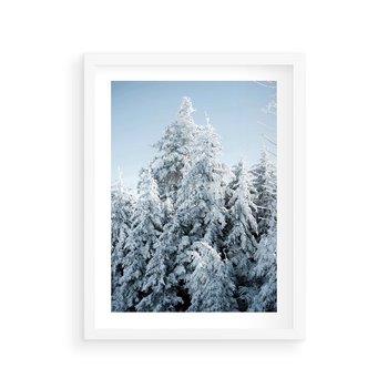 Plakat w ramie 30x40 - Magia Śnieżnych Drzew - zima, iglaste drzewa - rama biała