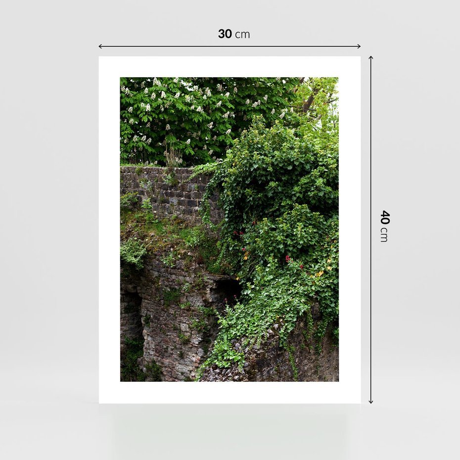 Plakat bez ramy 30x40 - Żywiołowa Zieleń - mur, liście