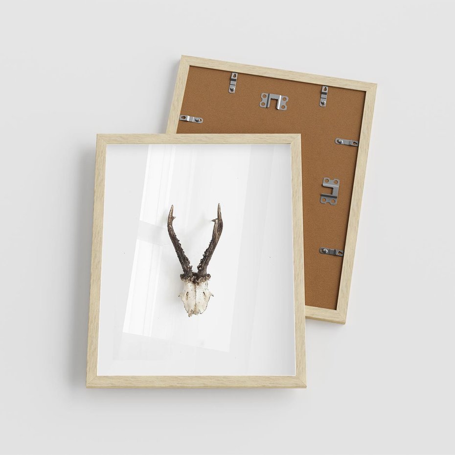 Plakat w ramie 40x50 - Minimalistyczne Poroże Jelenia - poroże jelenia na ścianie, minimalizm - rama drewno