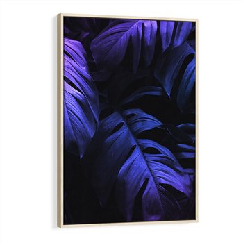 Obraz w ramie 50x70 - Mroczna Magia Dżungli - mroczna grafika, fioletowe liście monstery na czarnym tle - rama drewno