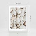 Plakat w ramie 30x40 - Białe Muszle - białe muszle, ujęcie z góry - rama biała