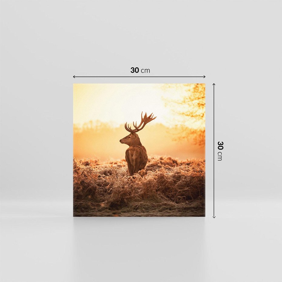 Obraz na płótnie 30x30 - Magia jesiennego słońca: Jeleń w promieniach - jeleń, jesień