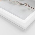 Plakat w ramie 50x70 - Gałęzie Bawełny na Białym Tle - gałęzie bawełny na białym tle, minimalizm - rama biała