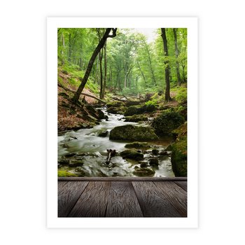 Plakat bez ramy 50x70 - Strumyk w lesie - strumyk, w lesie
