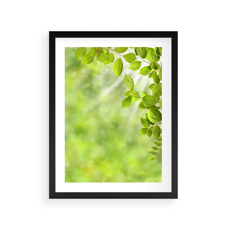 Plakat w ramie 30x40 - Zielone liście natury - liści, zieleń - rama czarna