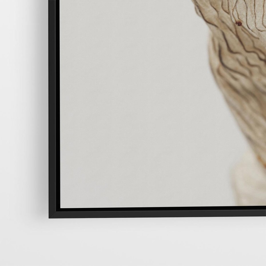 Obraz w ramie 50x50 - Suszone piękno - susz, suche - rama czarna