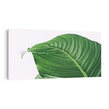 Obraz na płótnie 140x70 - Zielone liście monstery - liście, monstera