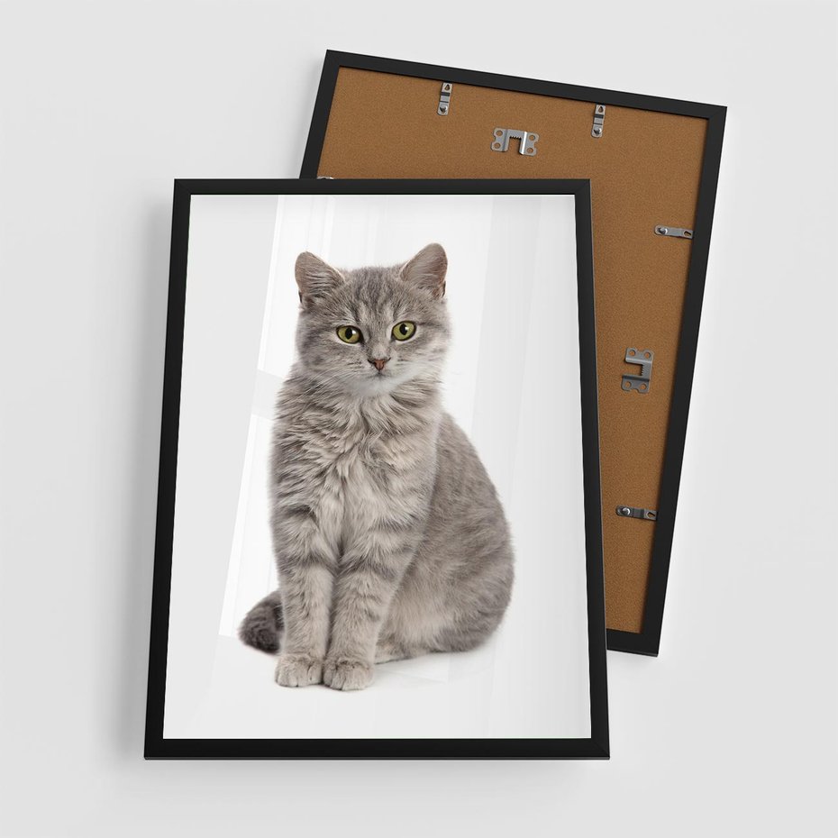 Plakat w ramie 50x70 - Kocie uroki na płótnie - kot, kotek - rama czarna