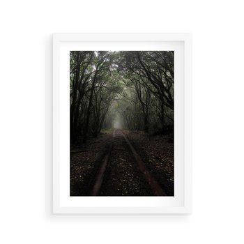 Plakat w ramie 30x40 - Urok Drogi - las, droga - rama biała