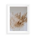 Plakat w ramie 50x70 - Boho Urok Traw Pampasowych - suche trawy, pampas - rama biała