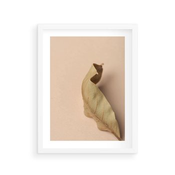Plakat w ramie 40x50 - Boho suszone liście - suszony, liść - rama biała