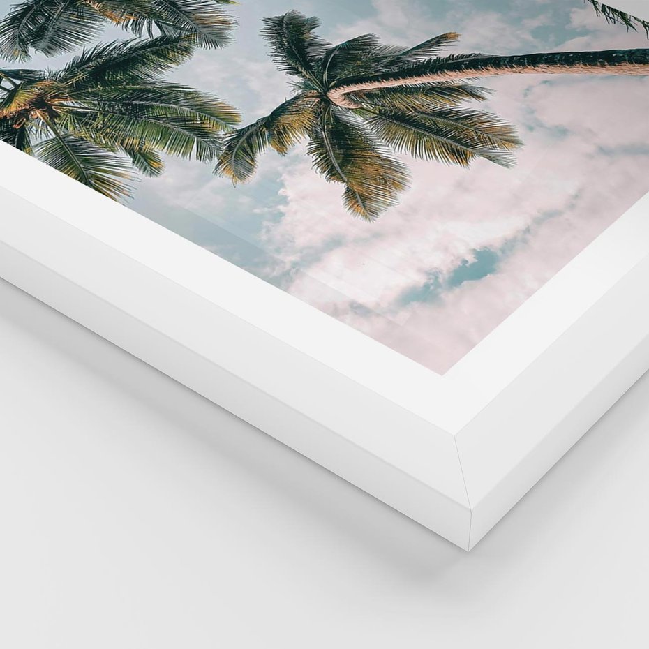 Plakat w ramie 30x40 - Wzrok ku Niebu - palmy na tle nieba, ujęcie z dołu - rama biała