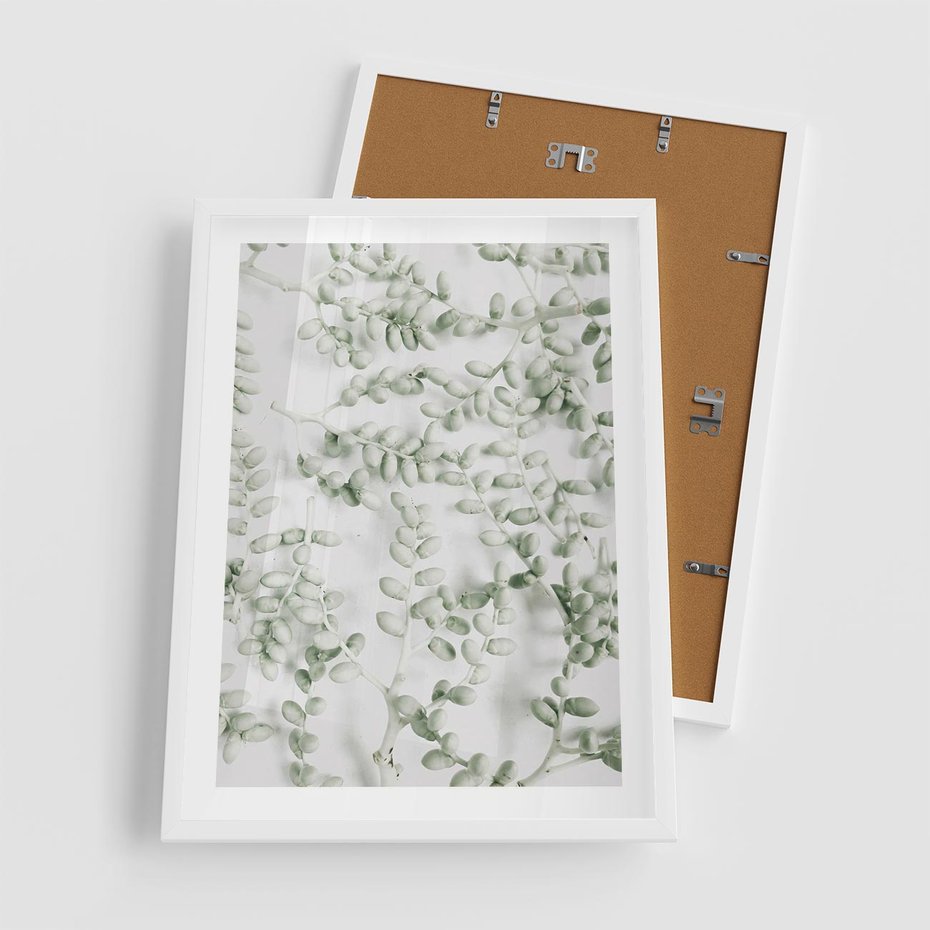 Plakat w ramie 50x70 - Delikatność Zieleni - zielone gałązki, listki - rama biała