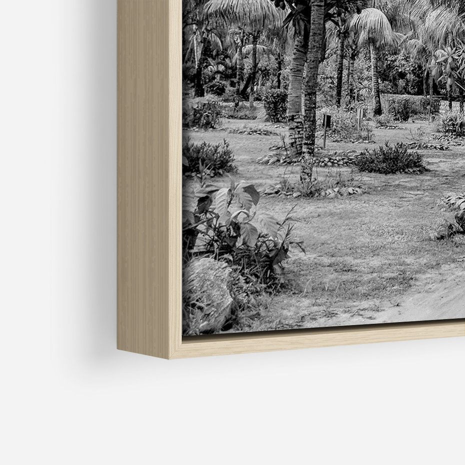 Obraz w ramie 80x120 - Mroczna Ścieżka Tropików - czarno biała fotografia, ścieżka pośród palm - rama drewno