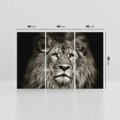 Obraz na płótnie 120x80 - Moc lewego spojrzenia - lew, czarno