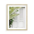Plakat w ramie 40x50 - Tropikalne Okno - białe okiennice, zielona tropikalna roślina - rama drewno