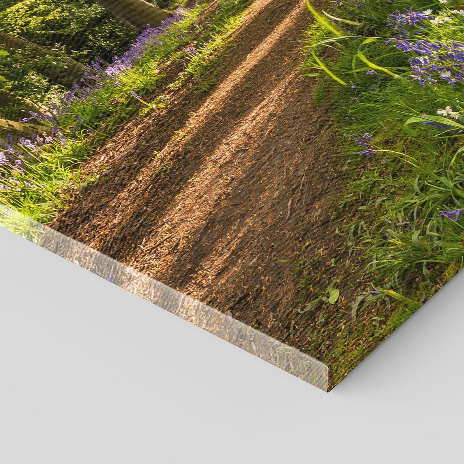 Obraz na płótnie 70x100 - Magia lasu: Drzewa w tajemniczej otoczce - las, drzewa