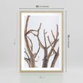 Plakat w ramie 50x70 - Pustynna Harmonia Gałęzi - pustynna roślina, suche gałęzie - rama drewno