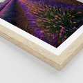 Plakat w ramie 30x40 - Fioletowa Magia - pole, lawendy - rama drewno
