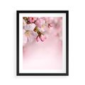 Plakat w ramie 40x50 - Kwitnąca wiśnia: delikatność natury - kwitnąca, wiśnia - rama czarna