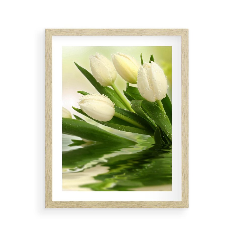 Plakat w ramie 40x50 - Białe Piękno - białe, tulipany - rama drewno