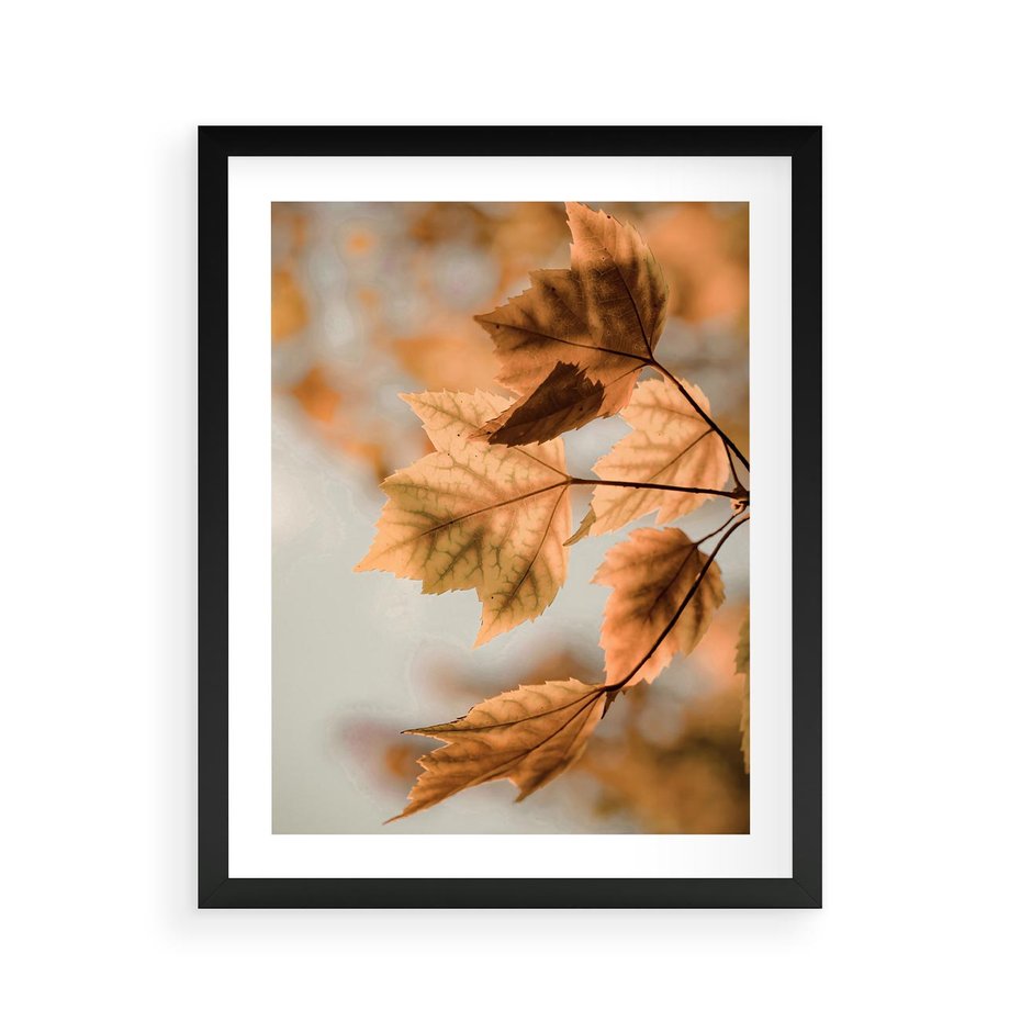 Plakat w ramie 40x50 - Magia Jesieni - liście, jesień - rama czarna