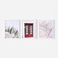 Zestaw obrazy w ramie 50x70 galeria - Stare, drzwi, liście, sanseweria - rama biała