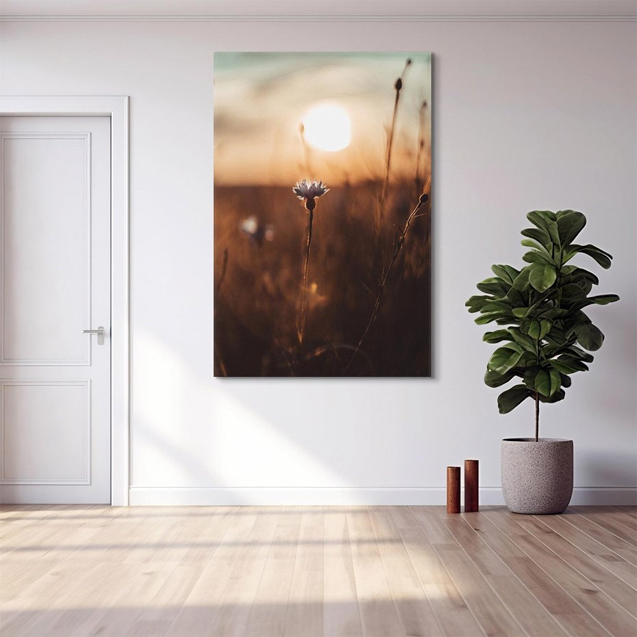 Obraz na płótnie 80x120 - Spokój łąki pod zachodem słońca - zachód, słońca