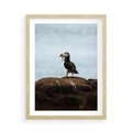Plakat w ramie 50x70 - Portret Ptaka Morskiego - maskonur, ptak - rama drewno