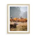 Plakat w ramie 50x70 - Malownicza Harmonia - jelenie, jesień - rama drewno
