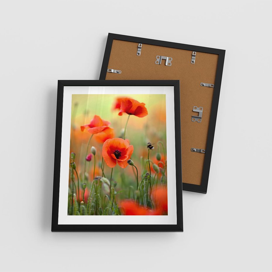 Plakat w ramie 40x50 - Makowa Pasja - maki, kwiaty - rama czarna