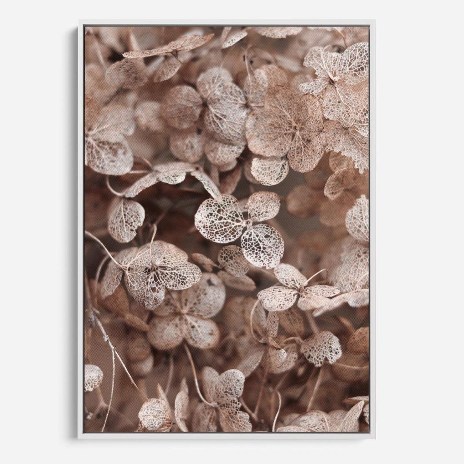 Obraz w ramie 50x70 - Przemijająca Piękność - fotografia, zbliżenie - rama biała