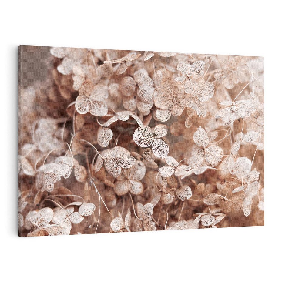 Obraz na płótnie 100x70 - Przemijająca Piękność - fotografia, zbliżenie