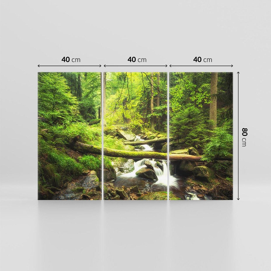 Obraz na płótnie 120x80 - Magiczny Strumień w Lesie - strumień, las