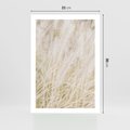 Plakat bez ramy 21x30 - Białe Trawy Pampas - suche trawy, białe trawy