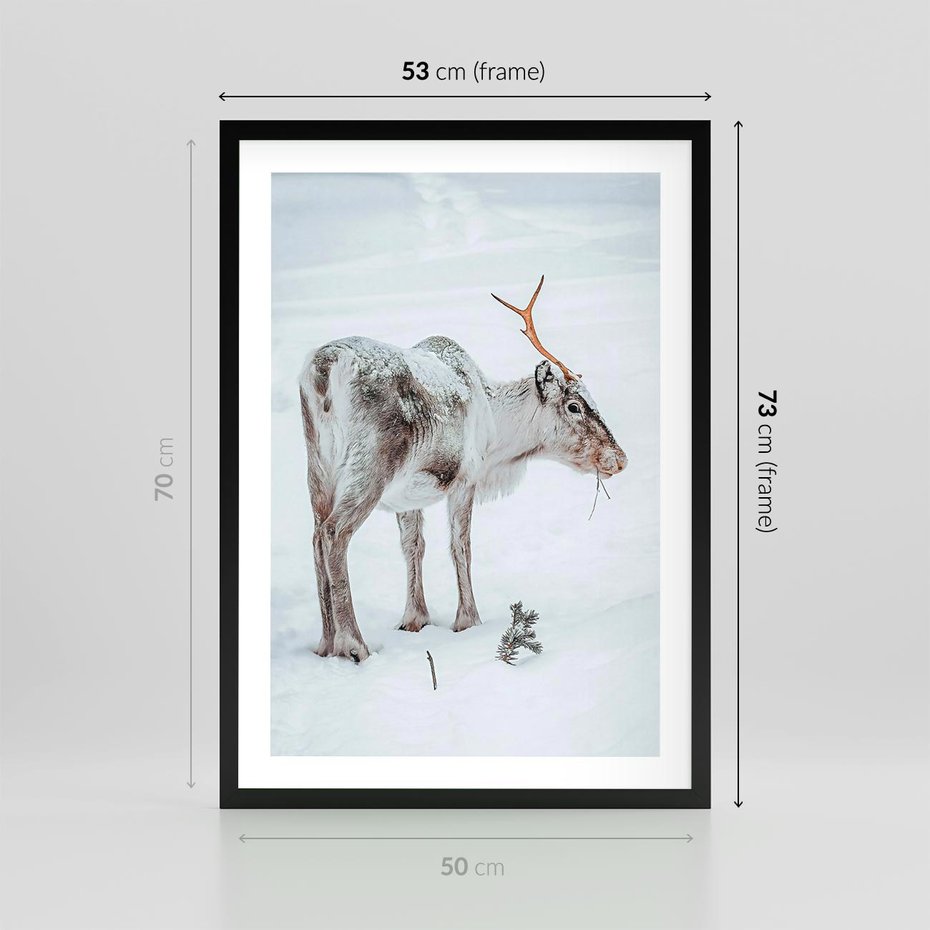 Plakat w ramie 50x70 - Magia Świąt - renifer na śniegu, śnieg - rama czarna