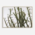 Obraz w ramie 70x50 - Ekskluzywna Roślinność - kaktusy, liście - rama drewno