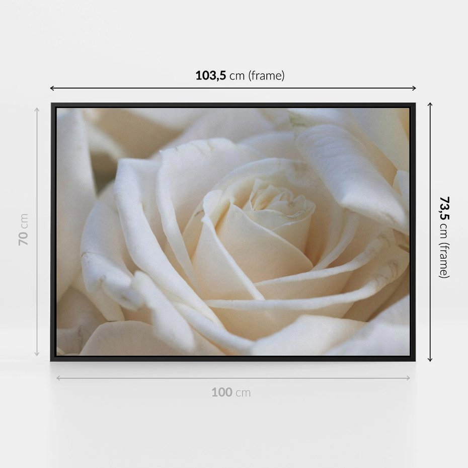 Obraz w ramie 100x70 - Białe róże piękności - białe, róże - rama czarna