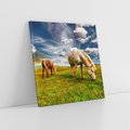 Obraz na płótnie 30x30 - Konie na łące przy jeziorze: Siła natury - konie, łąka