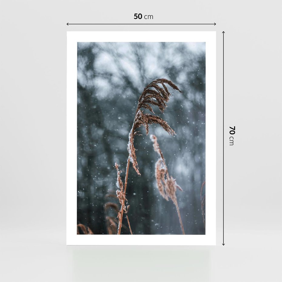 Plakat bez ramy 50x70 - Zima na Łonie Natury - sucha wysoka trawa, w zimie