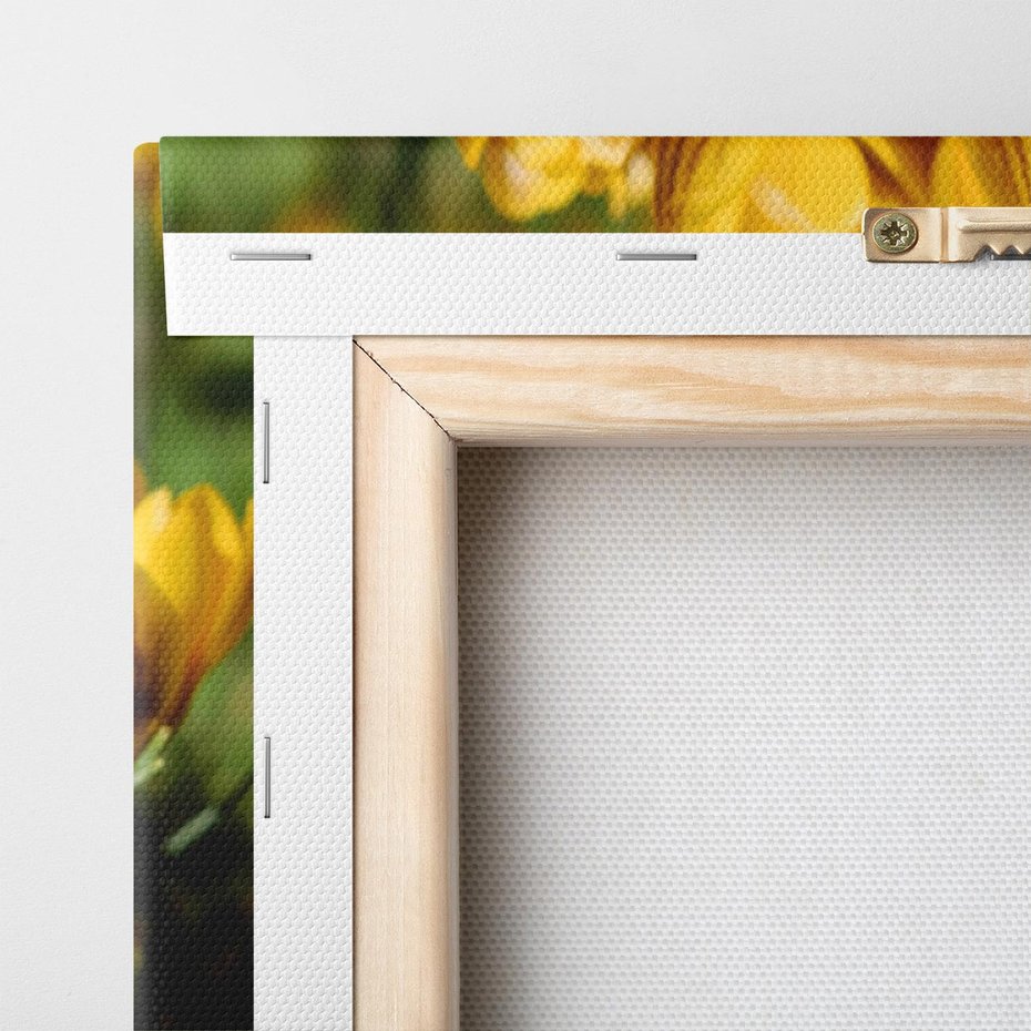 Obraz na płótnie 60x60 - Kwiatowe uniesienia natury - kwiat, kwiaty