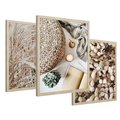 Zestaw obrazy w ramie 40x50 galeria - Boho, wnętrza, liście, trawy - rama drewno