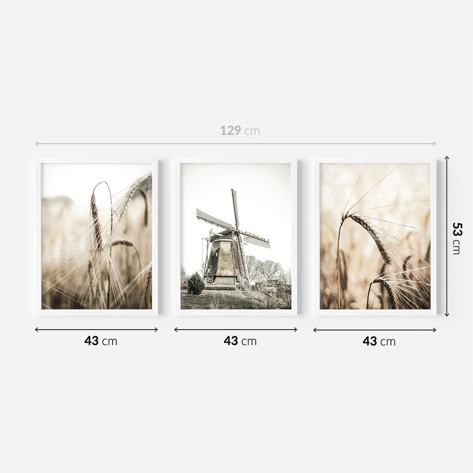 Zestaw obrazy w ramie 40x50 galeria - Pola, pszenicy, młyn, rustykalnie - rama biała