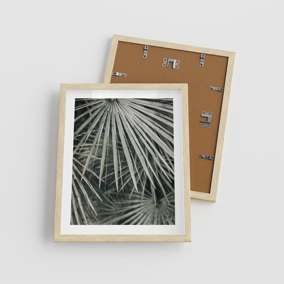 Plakat w ramie 40x50 - Ujęcie Tropikalnej Natury - palmy, liście palmy - rama drewno