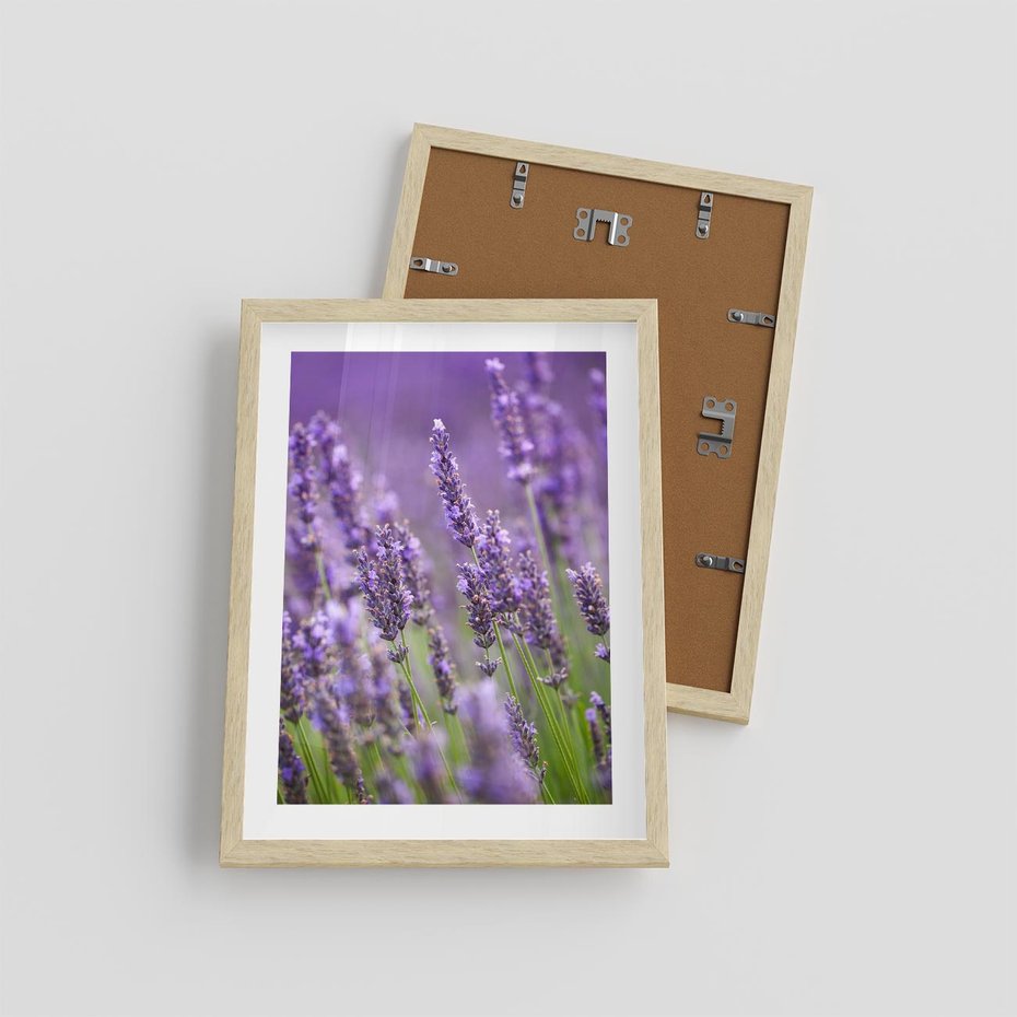 Plakat w ramie 30x40 - Urok lawendy - lawenda, kwiaty - rama drewno
